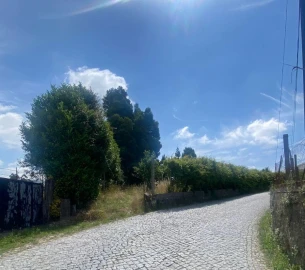 Terreno para Venda em Irivo
