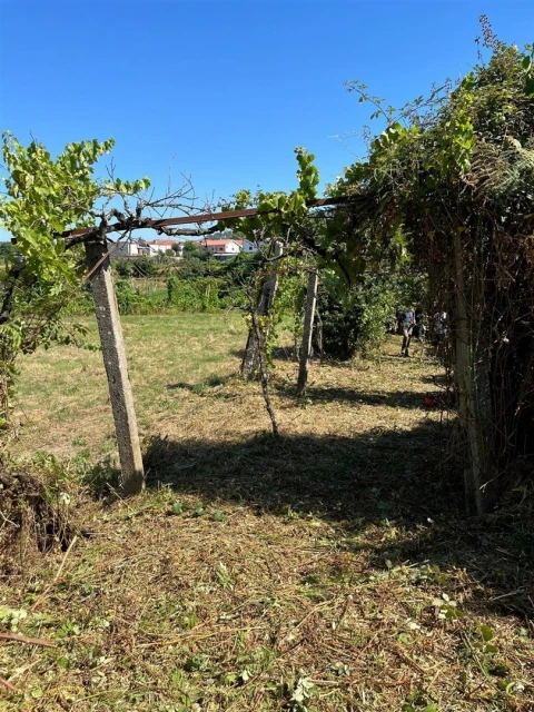 Terreno para Venda em Irivo