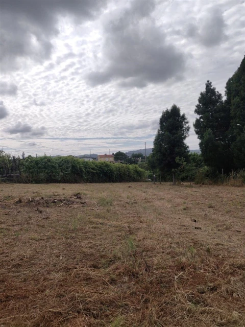 Terreno para Venda em Irivo