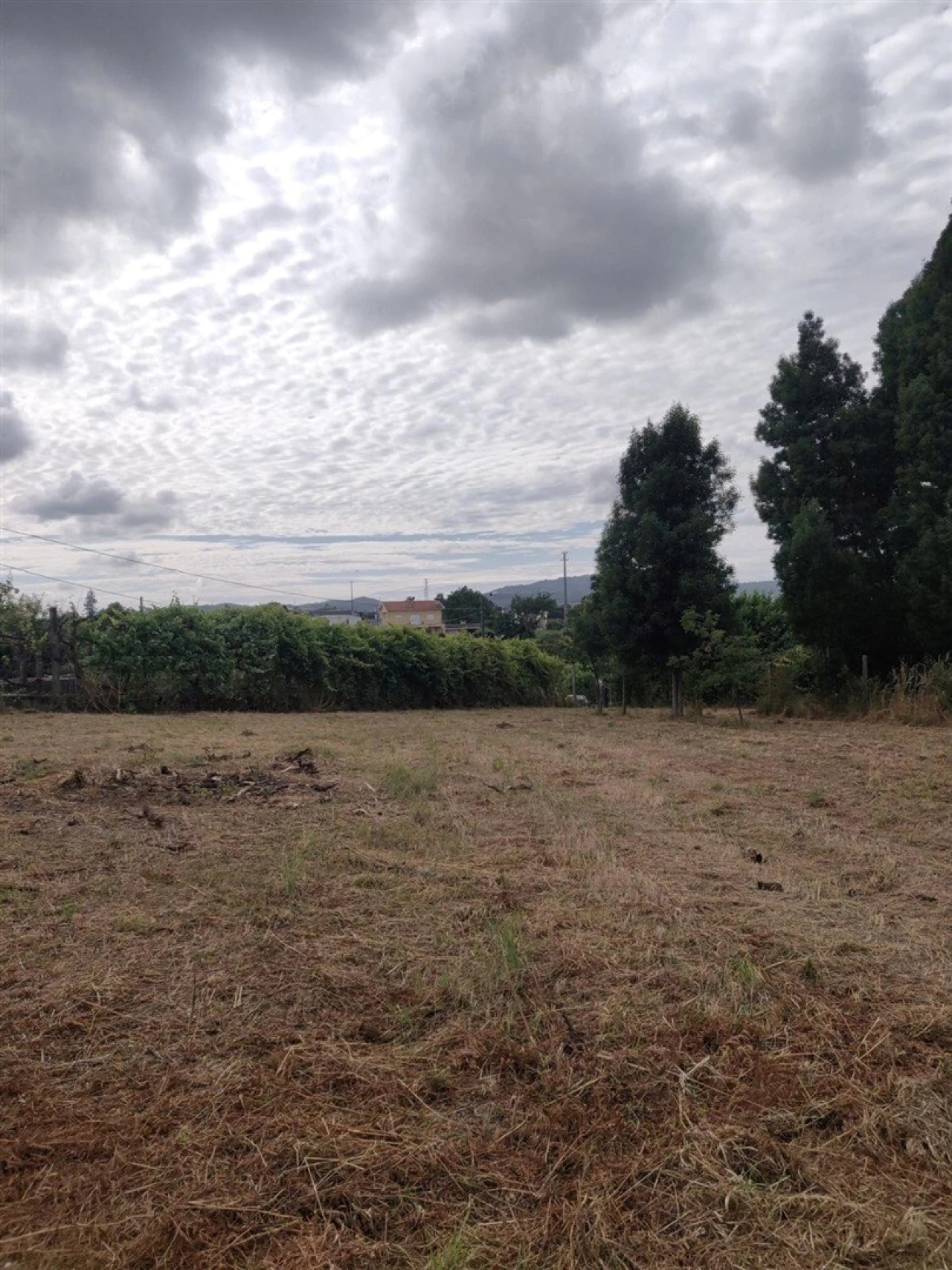 Terreno para Venda em Irivo Foto 2