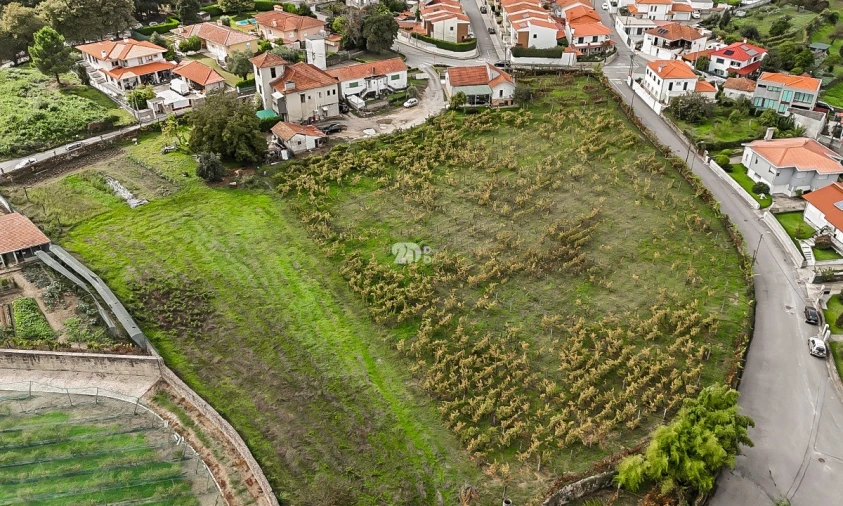 Terreno para Venda em Antas e Abade de Vermoim Foto 5