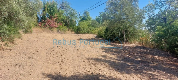 Terreno para Venda em Santa Barbara de Nexe