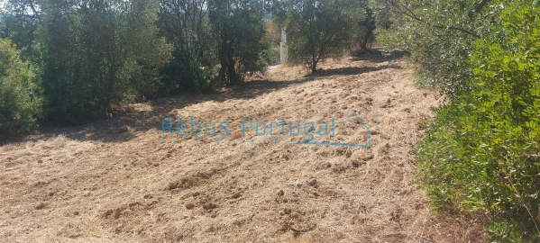 Terreno para Venda em Santa Barbara de Nexe