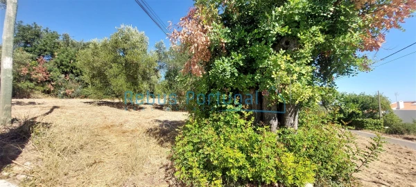 Terreno para Venda em Santa Barbara de Nexe