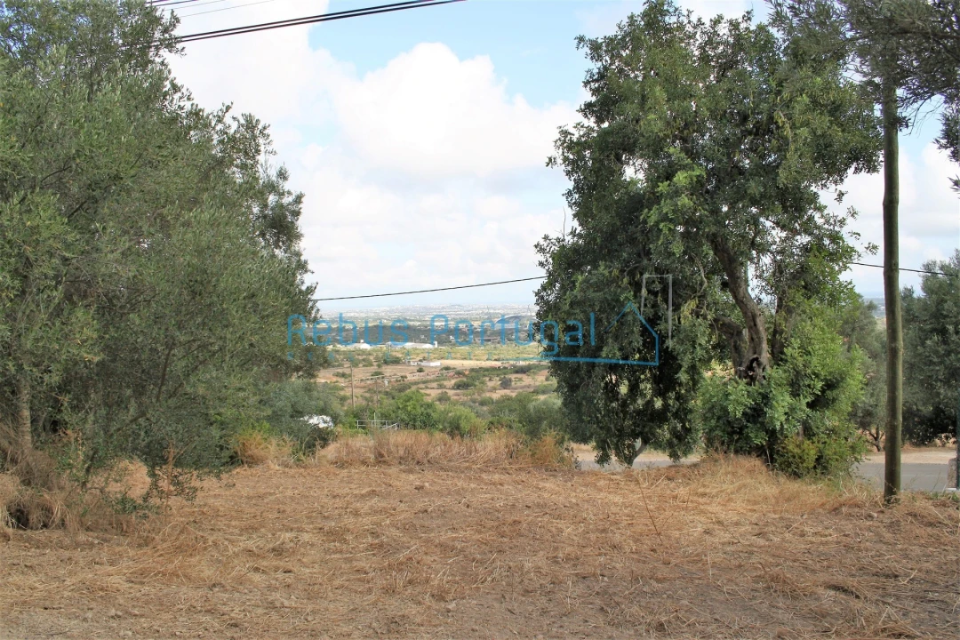 Terreno para Venda em Santa Barbara de Nexe Foto 5