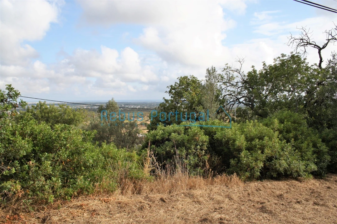 Terreno para Venda em Santa Barbara de Nexe Foto 6
