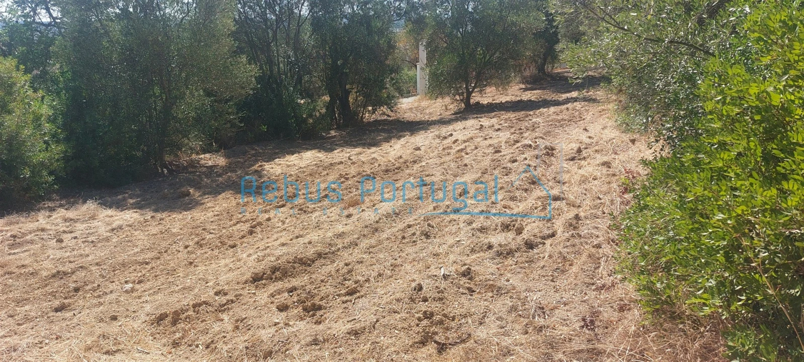 Terreno para Venda em Santa Barbara de Nexe Foto 4