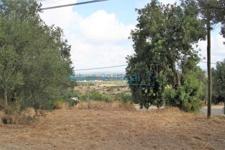 Terreno para Venda em Santa Barbara de Nexe Foto 5