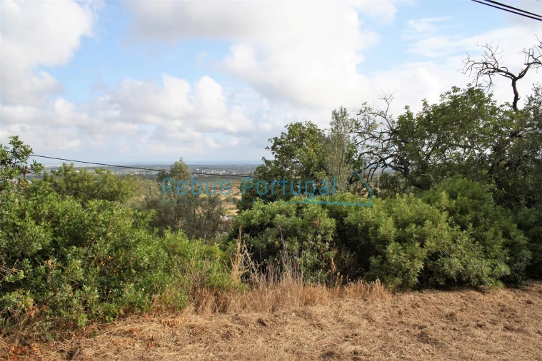 Terreno para Venda em Santa Barbara de Nexe Foto 6