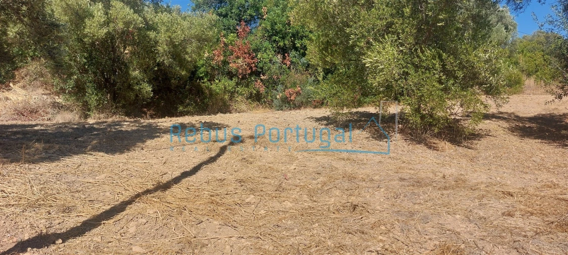 Terreno para Venda em Santa Barbara de Nexe Foto 2