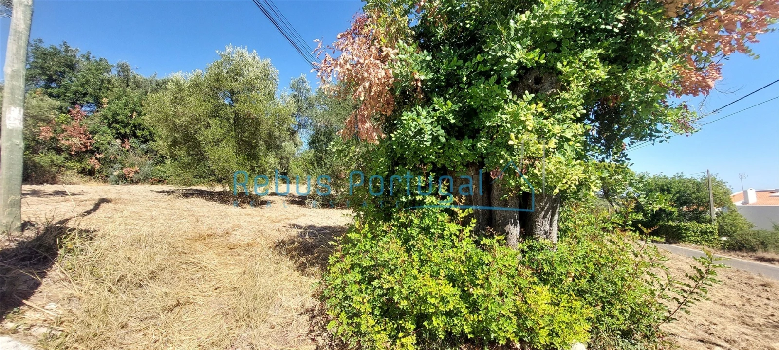 Terreno para Venda em Santa Barbara de Nexe Foto 7