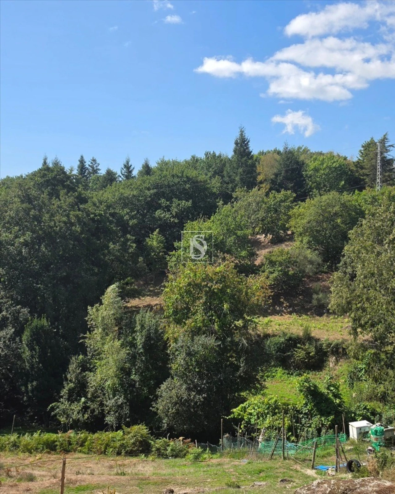 Terreno para Venda em Campelo e Ovil Foto 25