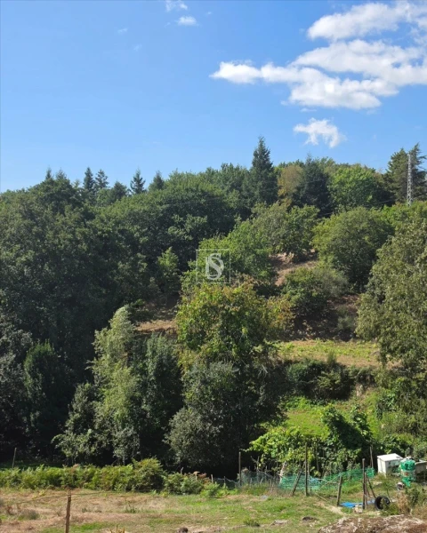Terreno para Venda em Campelo e Ovil