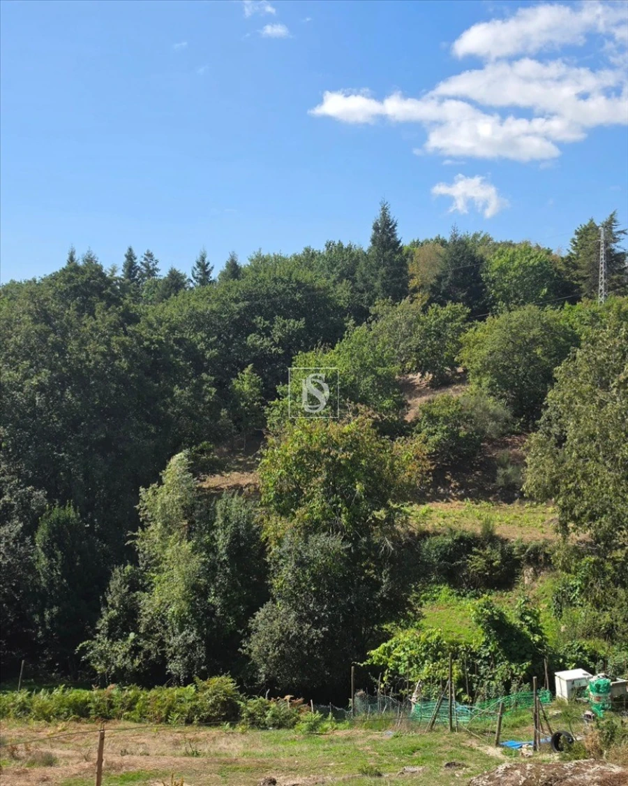 Terreno para Venda em Campelo e Ovil Foto 25
