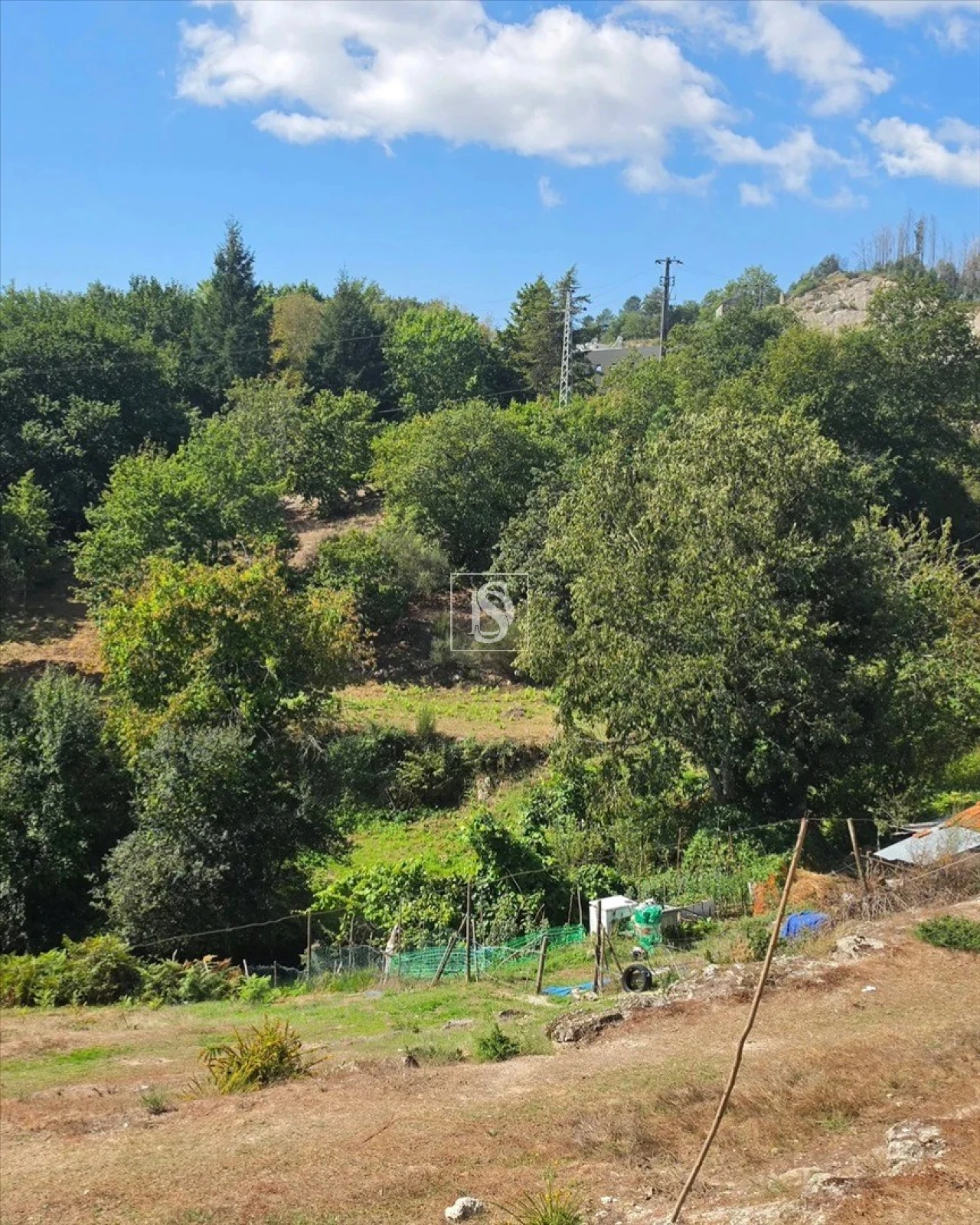 Terreno para Venda em Campelo e Ovil Foto 24