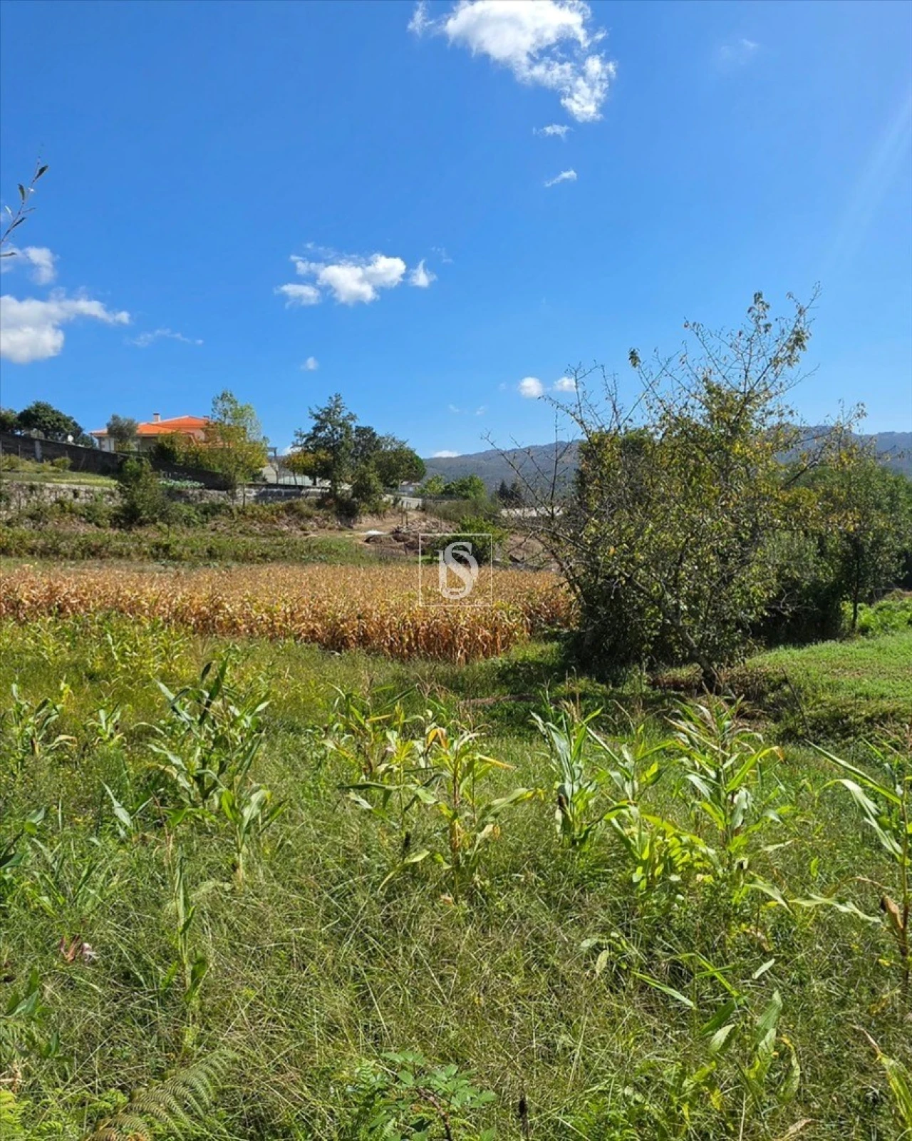 Terreno para Venda em Campelo e Ovil Foto 29