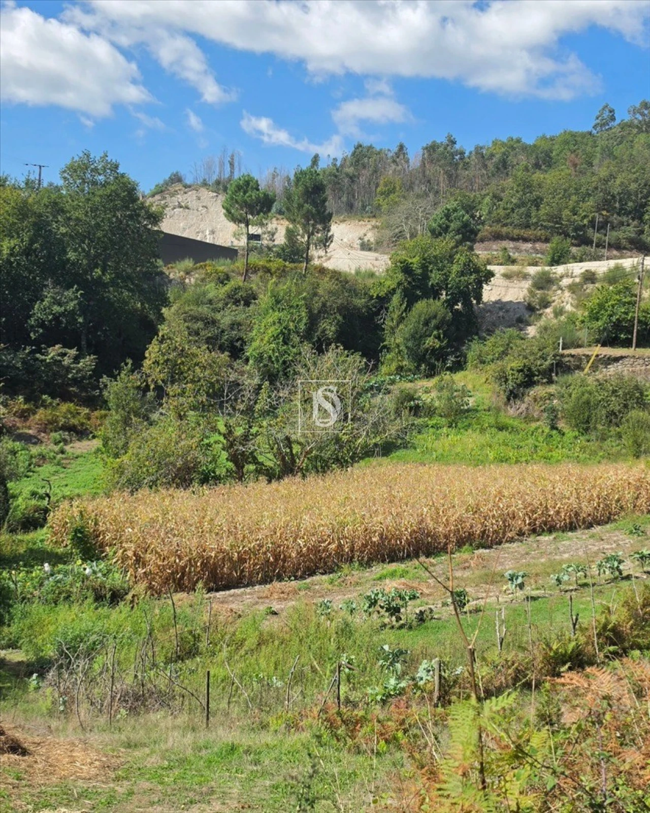 Terreno para Venda em Campelo e Ovil Foto 36