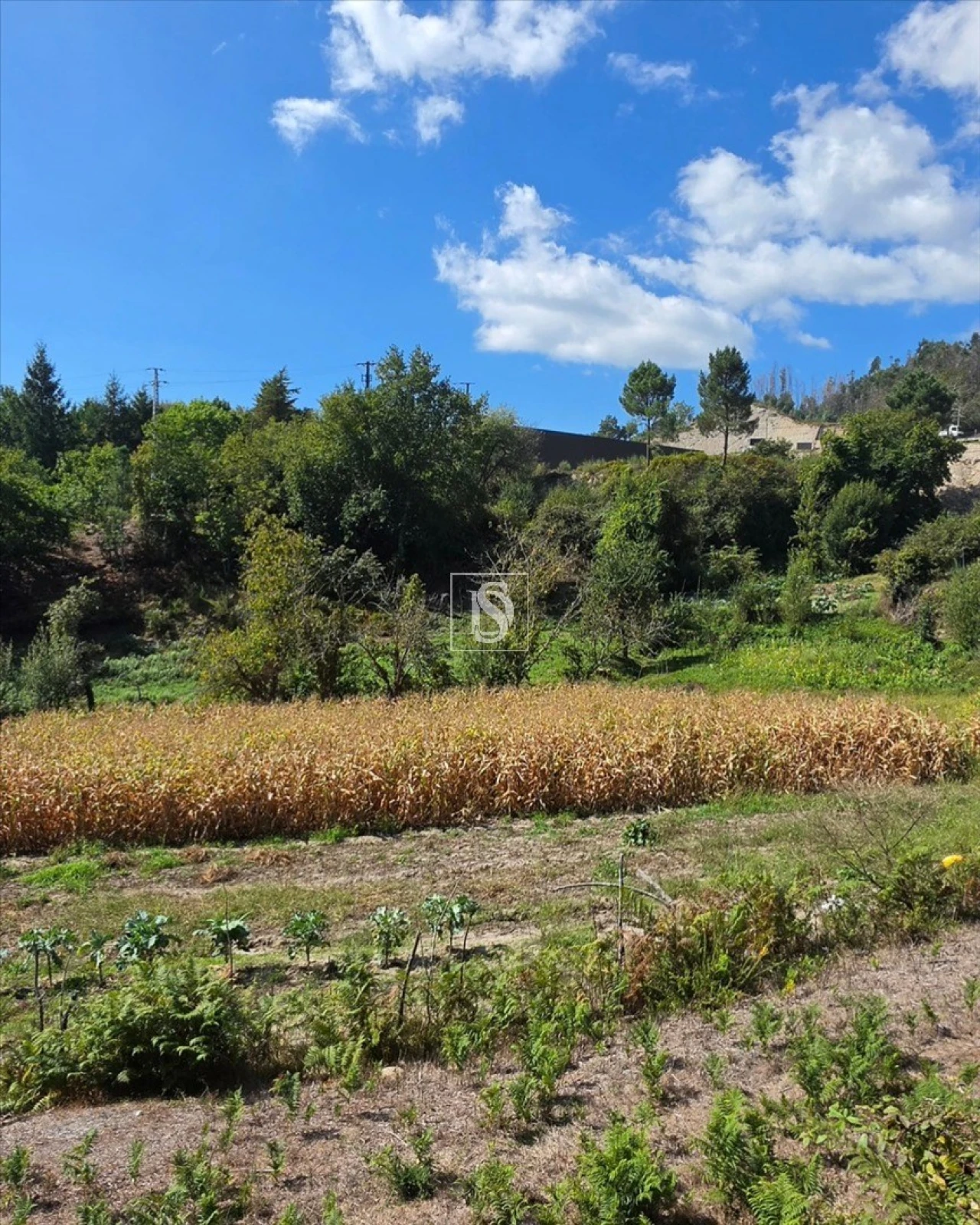 Terreno para Venda em Campelo e Ovil Foto 33