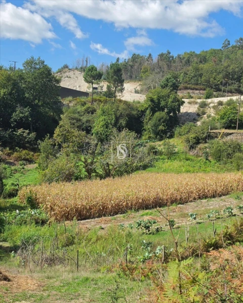 Terreno para Venda em Campelo e Ovil