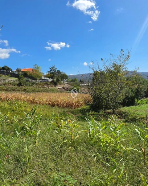 Terreno para Venda em Campelo e Ovil