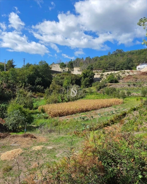 Terreno para Venda em Campelo e Ovil