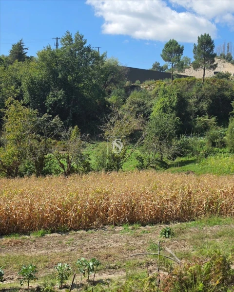 Terreno para Venda em Campelo e Ovil