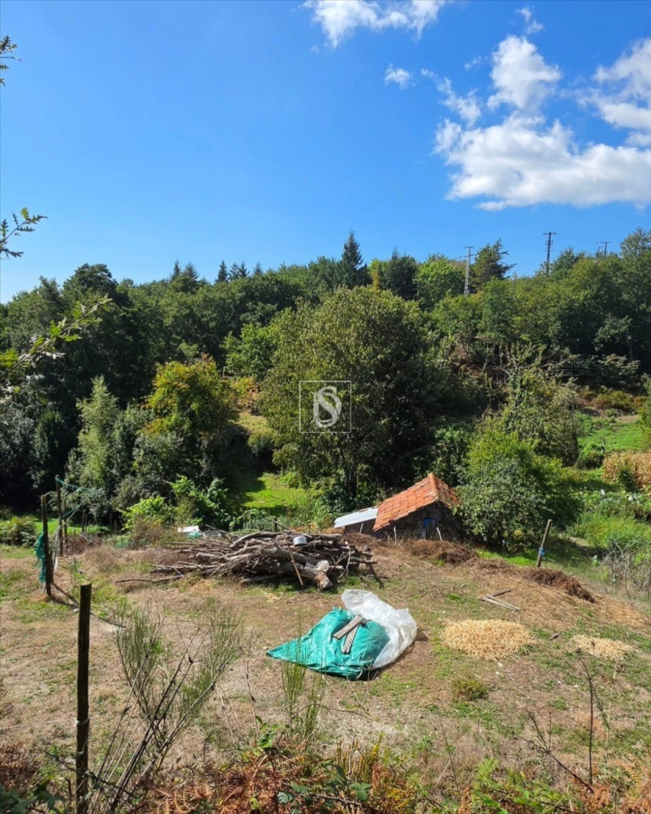 Terreno para Venda em Campelo e Ovil Foto 37