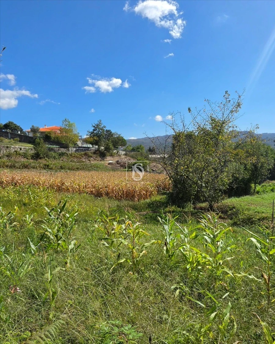 Terreno para Venda em Campelo e Ovil Foto 28
