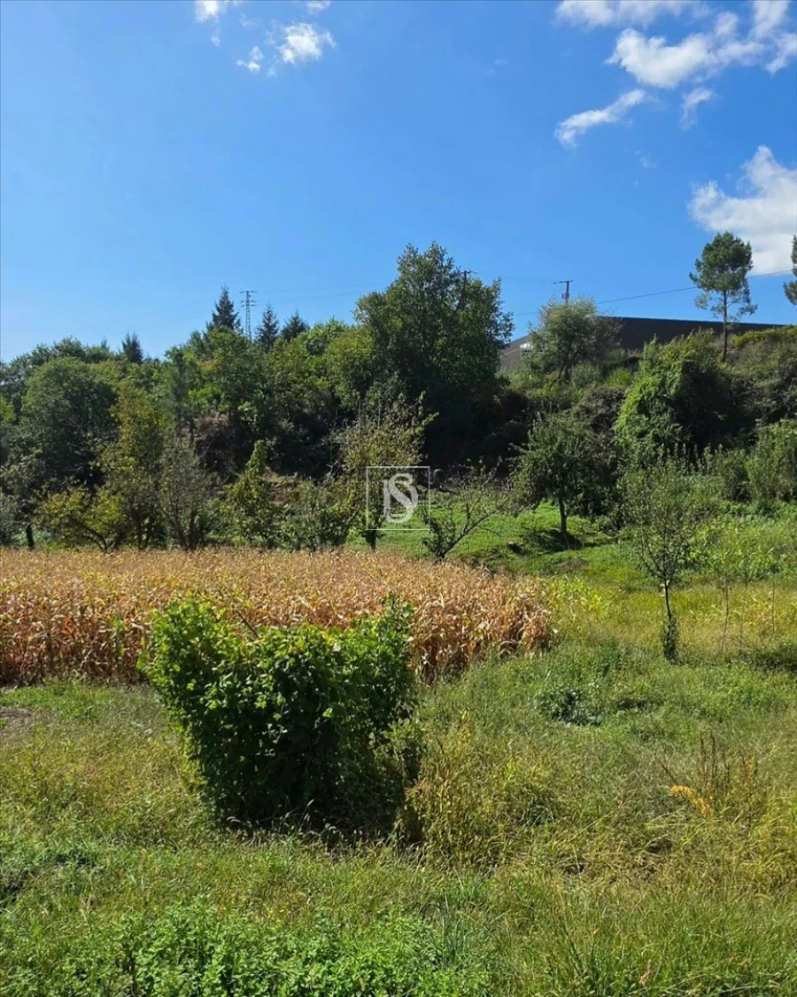Terreno para Venda em Campelo e Ovil Foto 30