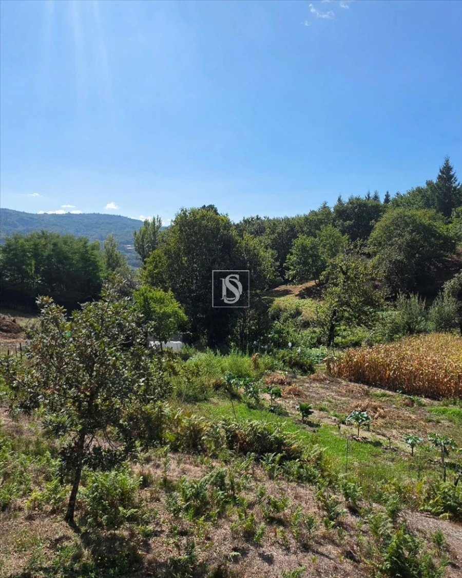 Terreno para Venda em Campelo e Ovil Foto 32