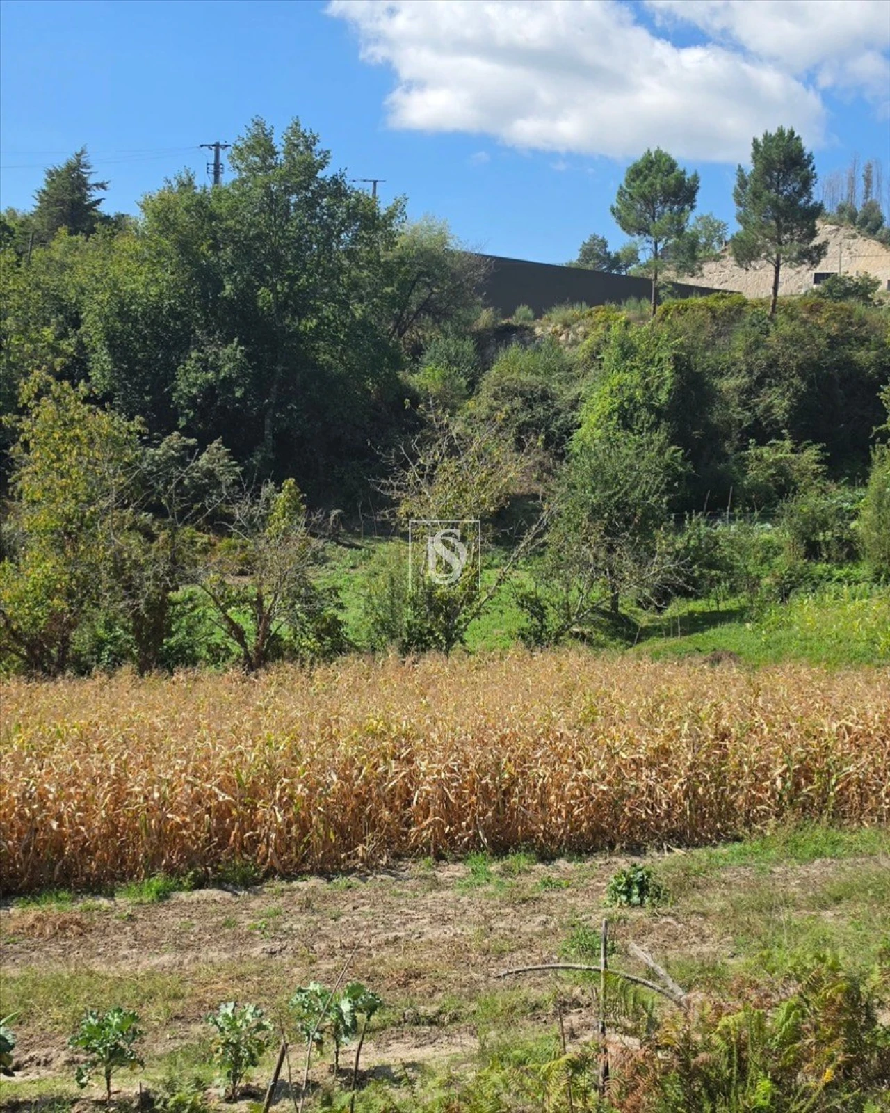 Terreno para Venda em Campelo e Ovil Foto 34