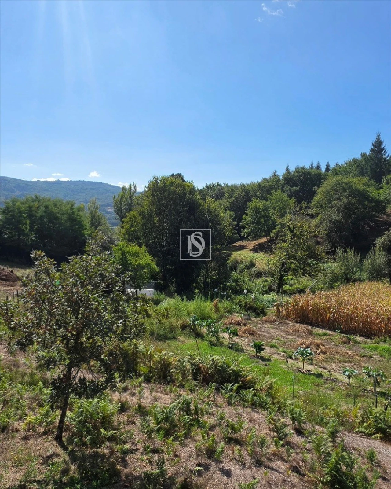 Terreno para Venda em Campelo e Ovil Foto 32