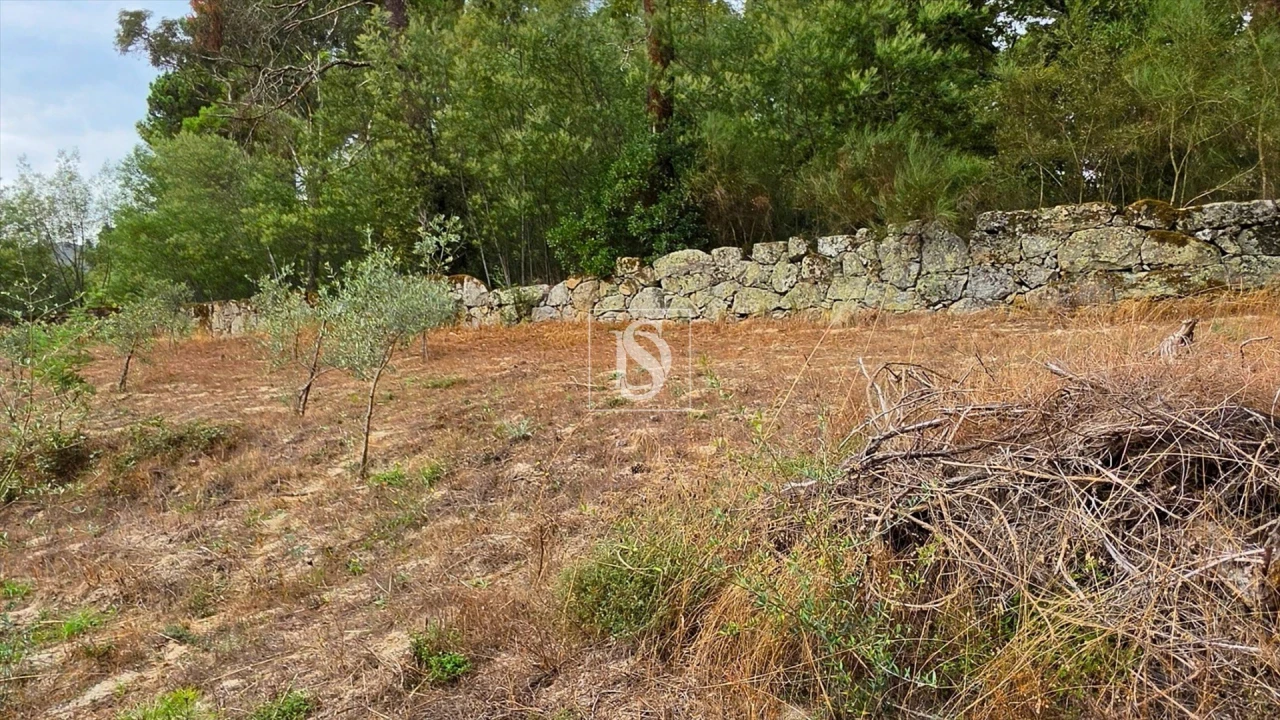 Moradia T2 para Venda em Santa Marinha do Zezere Foto 20