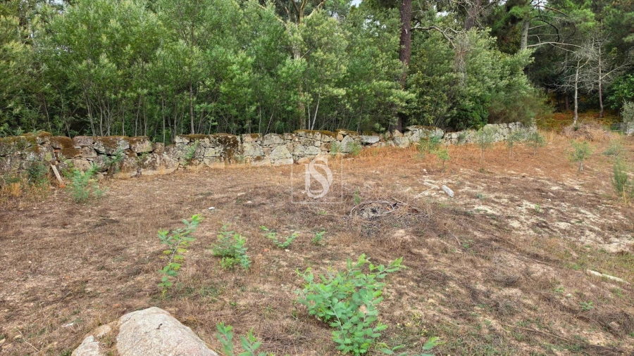 Moradia T2 para Venda em Santa Marinha do Zezere Foto 23