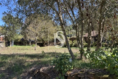 Quinta T1 para Venda em Dardavaz