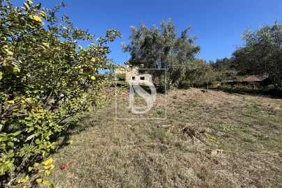 Quinta T1 para Venda em Dardavaz
