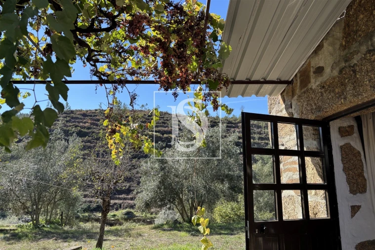 Quinta T1 para Venda em Dardavaz Foto 7