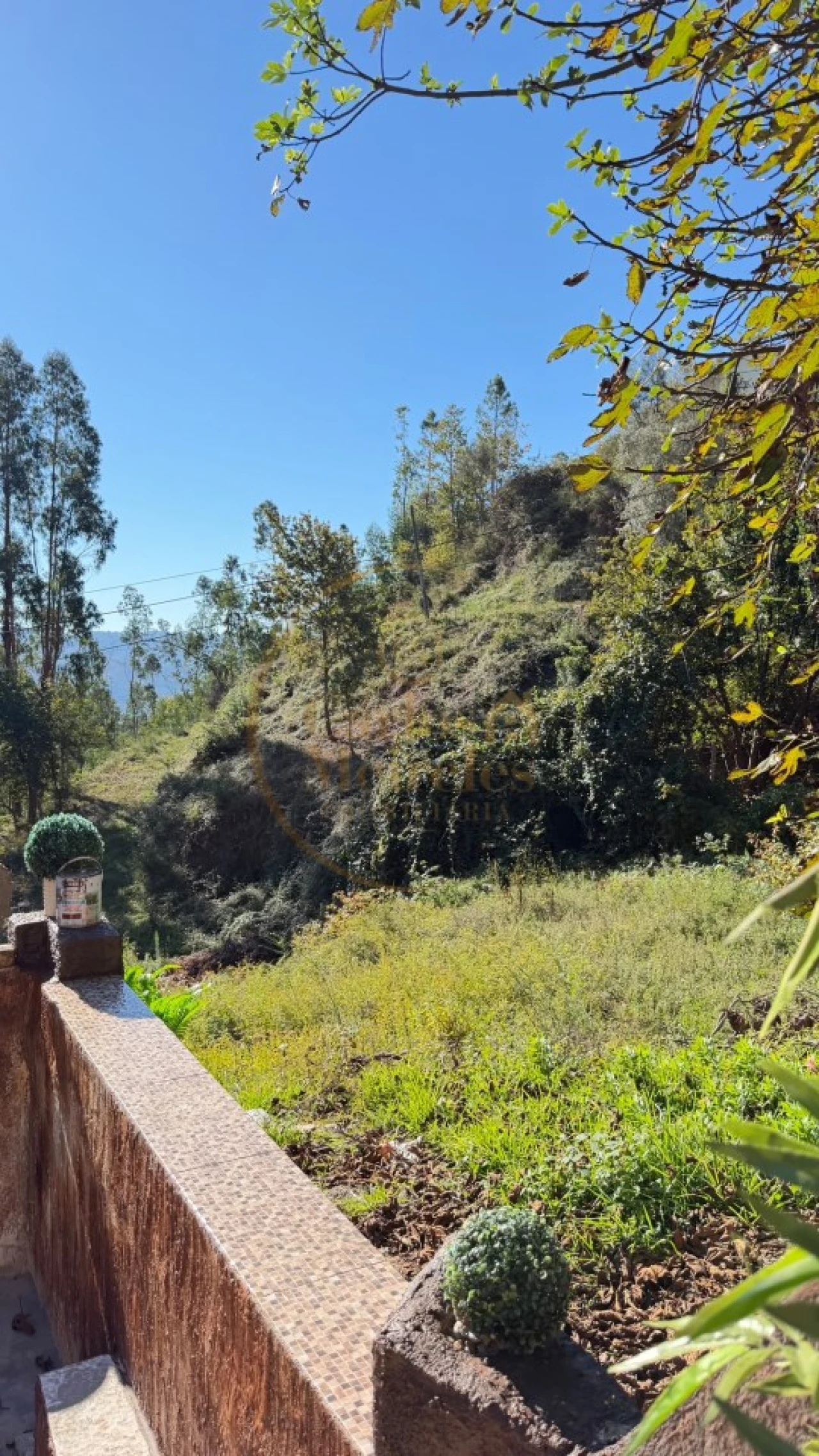 Quinta T4 para Venda em Sande, Vilarinho, Barros e Gomide Foto 41