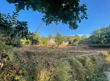 Terreno para Venda em Ribeira do Neiva