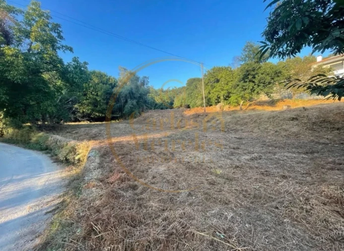 Terreno para Venda em Ribeira do Neiva Foto 2