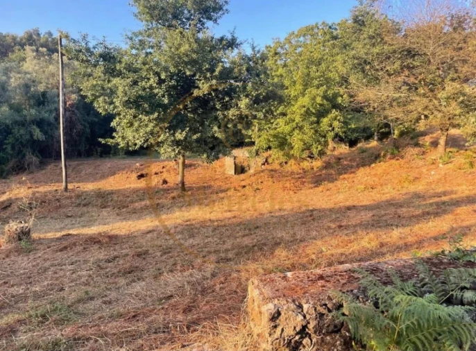 Terreno para Venda em Ribeira do Neiva Foto 4