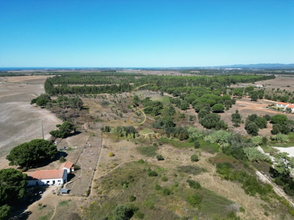 Quinta T3 para Venda em São Teotónio Foto 6