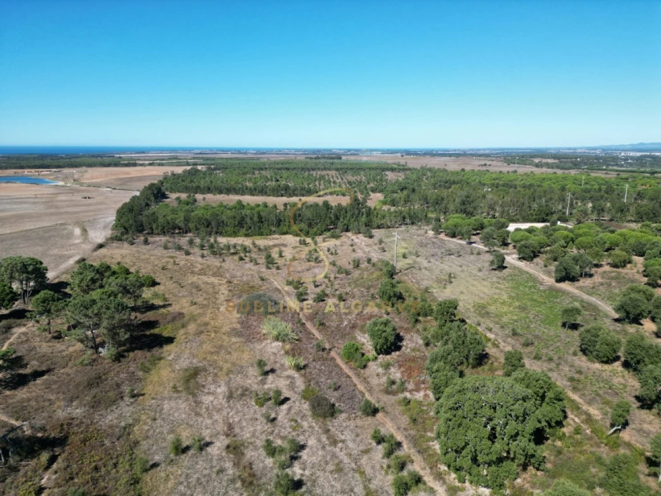 Quinta T3 para Venda em São Teotónio Foto 7
