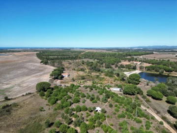 Quinta T3 para Venda em São Teotónio