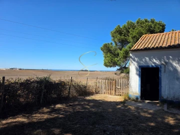 Quinta T3 para Venda em São Teotónio