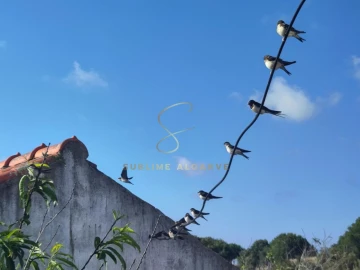 Quinta T3 para Venda em São Teotónio