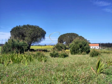 Quinta T3 para Venda em São Teotónio