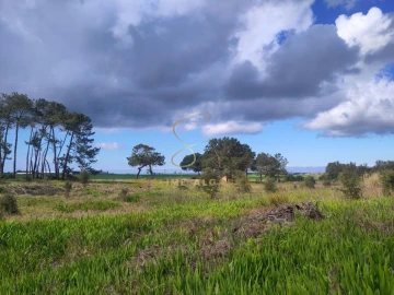 Quinta T3 para Venda em São Teotónio