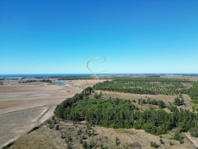 Quinta T3 para Venda em São Teotónio Foto 8