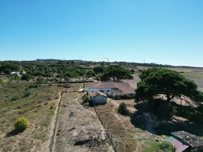 Quinta T3 para Venda em São Teotónio Foto 10
